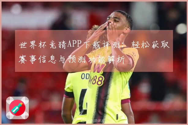 世界杯竞猜APP下载评测：轻松获取赛事信息与预测功能解析