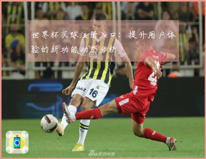 世界杯买球注册入口:提升用户体验的新功能动态分析