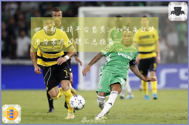 世界杯竞猜平台首页：如何高效使用与常见问题汇总指南